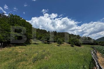 Casă - 3 camere de vanzare AMPOITA - Alba anunturi imobiliare Alba