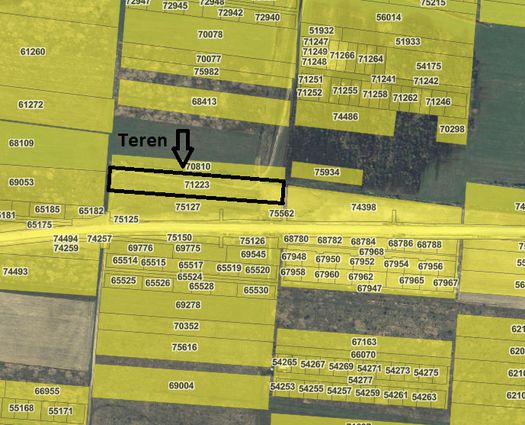 Teren Cihei, 7481 mp
