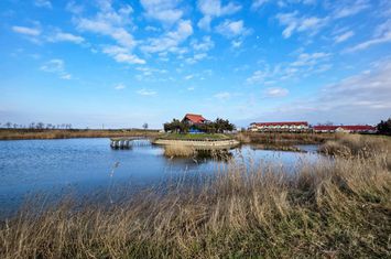 Teren de vanzare ISTRIA - Constanta anunturi imobiliare Constanta