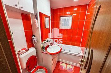 Apartament 3 camere de vanzare LIPOVEI - Timis anunturi imobiliare Timis