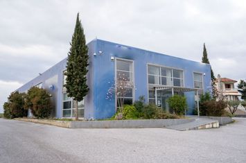 Clădire comercială 1.497 mp, Choristi (Drama) anunturi imobiliare Grecia