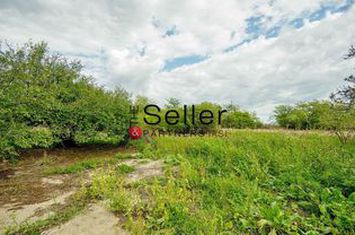 Teren 2.557 mp plan, langa pădurea Galata anunturi imobiliare Iasi