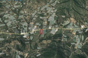 Teren construibil 10.000 mp în Mirtofito anunturi imobiliare Grecia