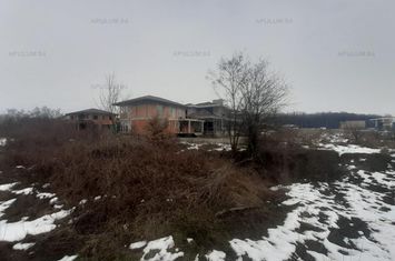 Teren Extravilan de vanzare SATUL AMERICAN - Bucuresti anunturi imobiliare Bucuresti