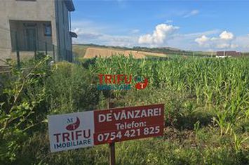 Teren Intravilan de vanzare IGHIU - Alba anunturi imobiliare Alba