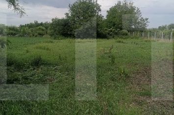 Casă - 3 camere de vanzare BRAESTI - Botosani anunturi imobiliare Botosani