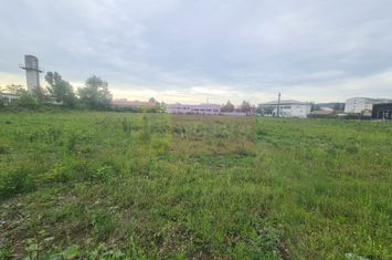 Teren intravilan de vanzare in Campina anunturi imobiliare Prahova