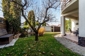VILĂ MODERNĂ CU PISCINĂ, SAUNĂ- COMISION 0% – ARADUL NOU anunturi imobiliare Arad