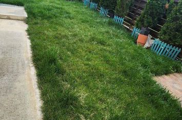 Casa capat insiruita curte 100mp P+1+M -Drumul Binelui anunturi imobiliare Bucuresti