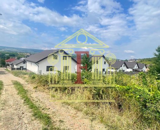 Teren Intravilan Tomesti, 7500 mp