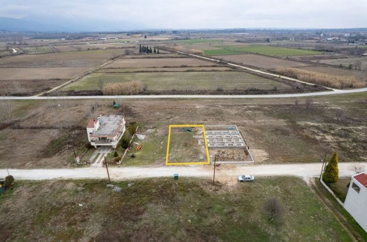 Teren construibil 417 mp în Chrysoupoli Nestos anunturi imobiliare Grecia