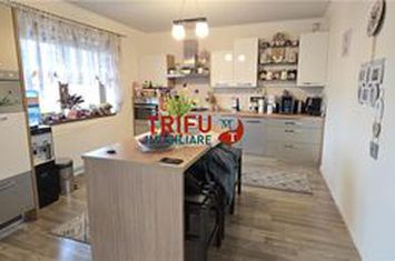 Vilă - 4 camere de inchiriat PARTOS - Alba anunturi imobiliare Alba