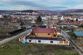 Casă / Vilă cu 6 camere de vânzare în zona Periferie anunturi imobiliare Sibiu