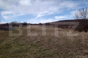 Teren de vanzare DOBROVAT - Iasi anunturi imobiliare Iasi