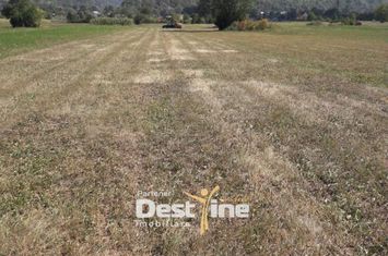 Teren de vanzare PANGARATI - Neamt anunturi imobiliare Neamt