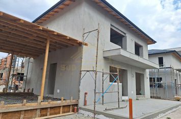 CASA INDIVIDUALA P+1+POD-TEREN 300 MP-MIRASLAU anunturi imobiliare Bucuresti