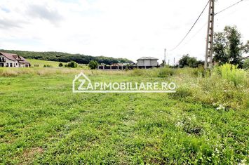 Teren 6.800mp teren cu deschidere de 100 m la drum asfaltat anunturi imobiliare Mures