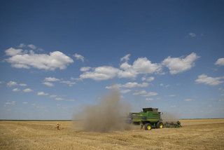 Românii îşi fac mai puţine firme de imobiliare şi mai multe de agricultură