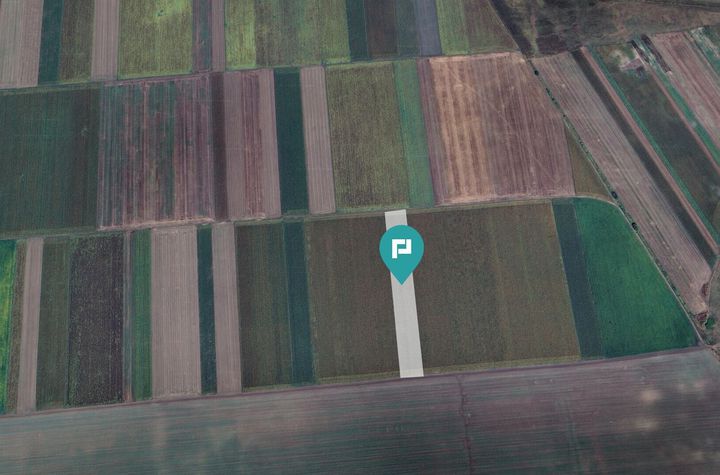 Teren agricol 14.500 mp în Caporal Alexa anunturi imobiliare Arad