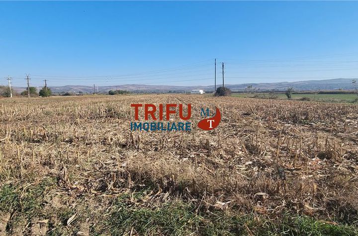 Teren Intravilan de vanzare CENTRAL - Alba anunturi imobiliare Alba