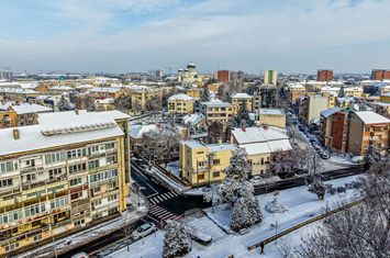 Vila individuala de exceptie Praporgescu Malul Mureșului anunturi imobiliare Arad