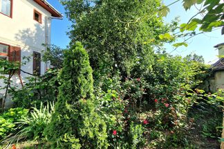 Casă 6 cam de vânzare Sibiu - Terezian