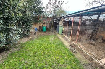 Vilă - 5 camere de vanzare NOJORID - Bihor anunturi imobiliare Bihor