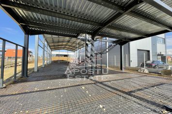Hala + birouri, 590 mp, Giarmata anunturi imobiliare Timis