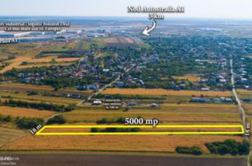 Teren intravilan construibil Bolintin Deal 5000 mp anunturi imobiliare Giurgiu