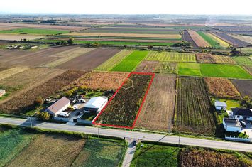 Teren Intravilan de vanzare NORD - Satu Mare anunturi imobiliare Satu Mare