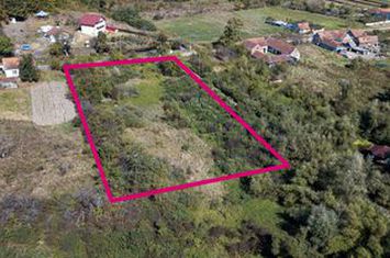 Teren pentru casa de vacanta 4320 mp anunturi imobiliare Arad