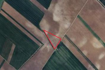 Teren intravilan curti constructii - 8000 mp Darza-Crevedia jud.Dambovita anunturi imobiliare Dambovita