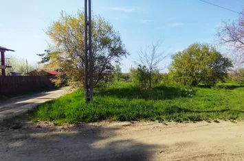 Foto 3 Teren intravilan de vânzare – Grădiștea, Ilfov, Aleea Primăriei anunturi imobiliare Gradistea