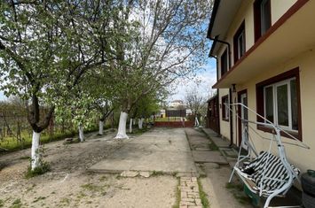 Vilă - 8 camere de vanzare MALU MARE - Dolj anunturi imobiliare Dolj
