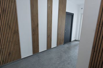 Apartament 2 camere de vanzare MEHALA - Timis anunturi imobiliare Timis