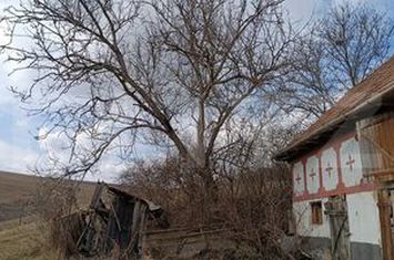 Casă - 3 camere de vanzare BACIU - Cluj anunturi imobiliare Cluj