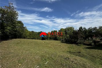 Teren Intravilan de vanzare POIANA CAMPINA - Prahova anunturi imobiliare Prahova