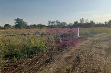 Săbăreni, lot de casă 500 mp, curent lângă teren anunturi imobiliare Giurgiu