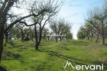 Teren Intravilan de vanzare VOILA - Prahova anunturi imobiliare Prahova