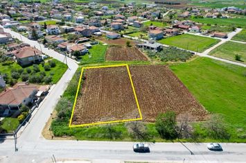 Teren construibil 1.419 mp la intrarea în Doxato anunturi imobiliare Grecia