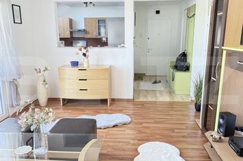 Apartament 2 camere de inchiriat CLUJ-NAPOCA - Cluj anunturi imobiliare Cluj