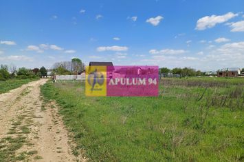 Loc de casă 520 mp, în Săbăreni, lângă București anunturi imobiliare Giurgiu