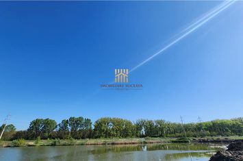 Teren Extravilan de vanzare SCHEIA - Suceava anunturi imobiliare Suceava