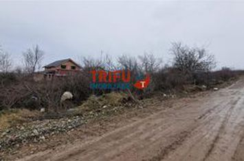 Teren Intravilan de vanzare CETATE - Alba anunturi imobiliare Alba