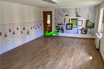 Vilă - 11 camere de inchiriat PIATA CLUJ - Sibiu anunturi imobiliare Sibiu