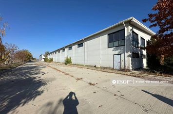 Spațiu industrial de inchiriat CHITILA - Bucuresti anunturi imobiliare Bucuresti