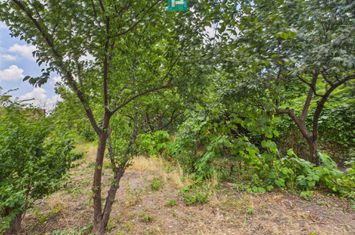 Teren 1.484 mp în zona Iosefin, zona Gării de Nord anunturi imobiliare Timis