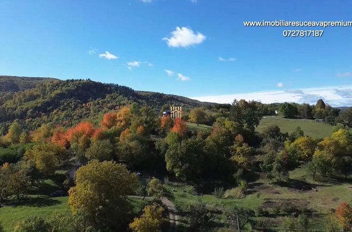 Teren Intravilan de vanzare CACICA - Suceava anunturi imobiliare Suceava