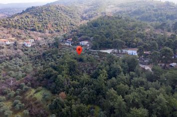 Teren construibil 4.028,13 mp în Rachoni, Thassos anunturi imobiliare Grecia
