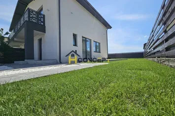 Promo Casa Berceni Marmura Irigatii curte amenajata anunturi imobiliare Bucuresti